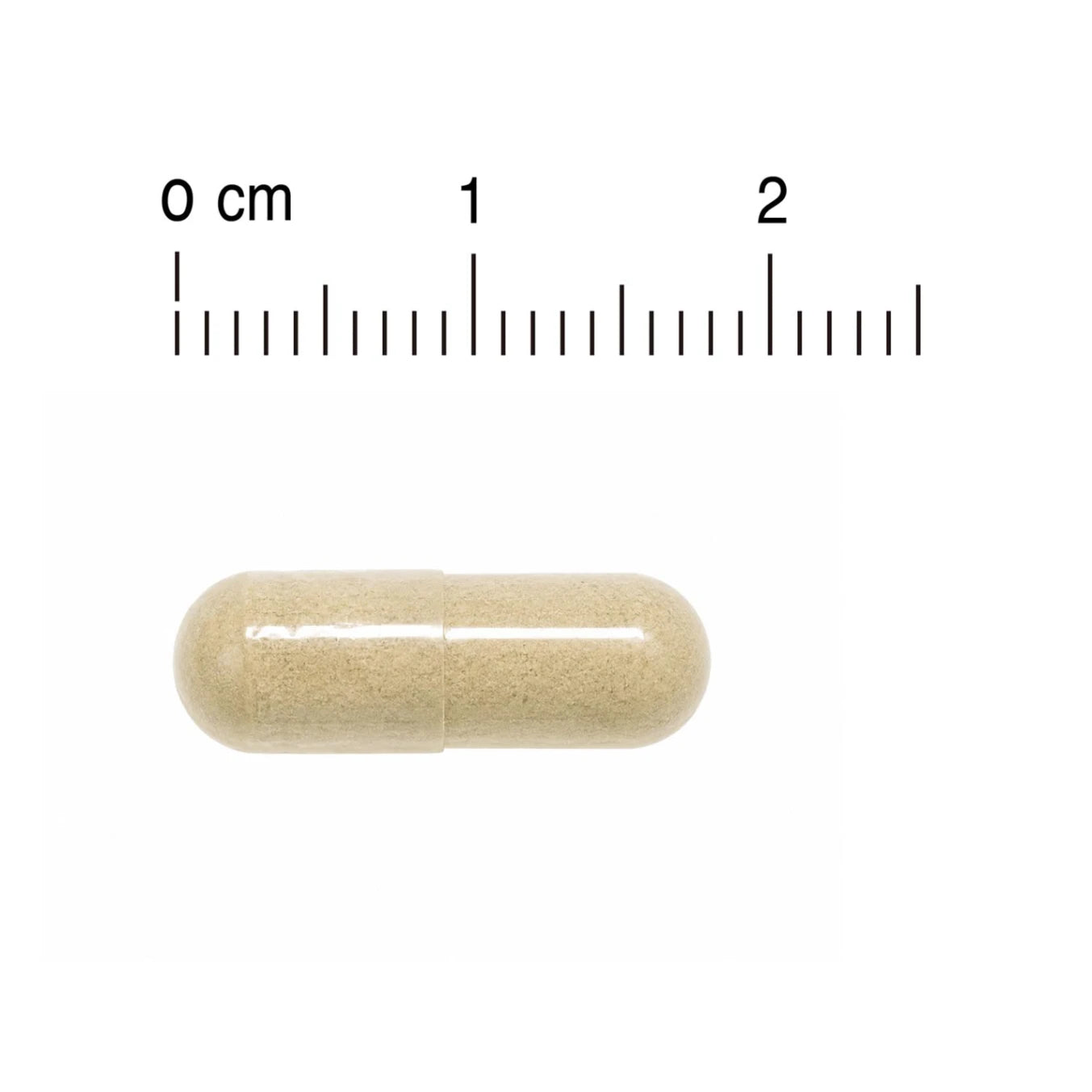 POME 100%全素植物元氣丸｜產品尺寸