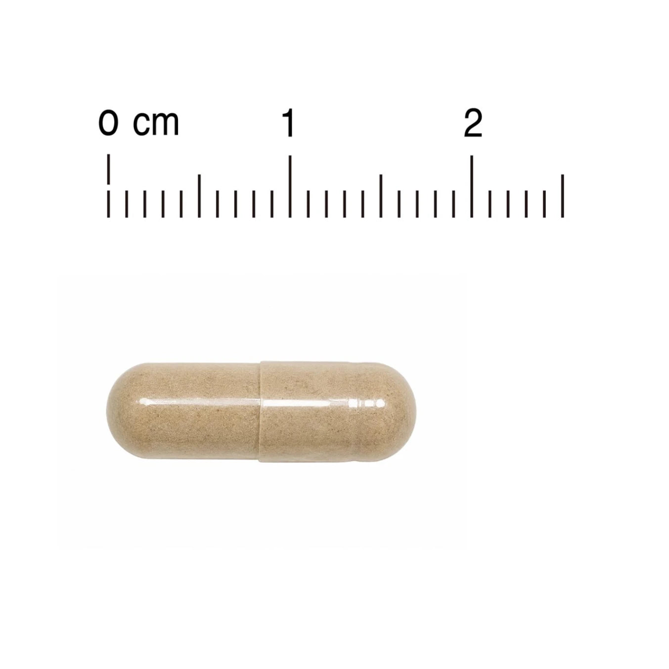 POME 蟲草赤靈芝心肝丸 (菌絲體)｜產品圖片 3