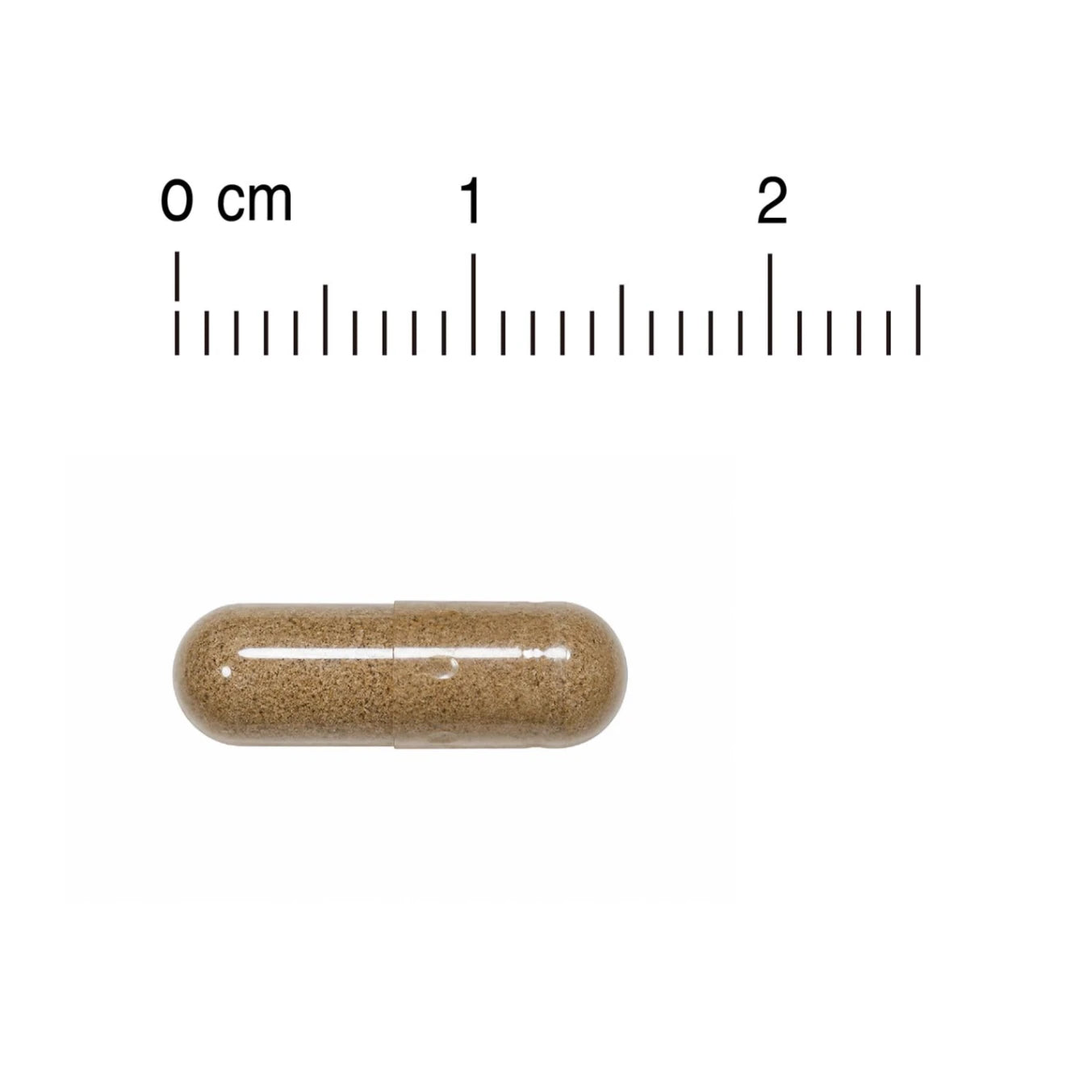 POME PET 寵物蟲草赤靈芝心肝丸(菌絲體)｜產品尺寸